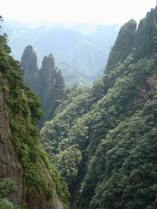 雲南西雙版納國家森林公園