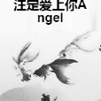 注定愛上你Angel