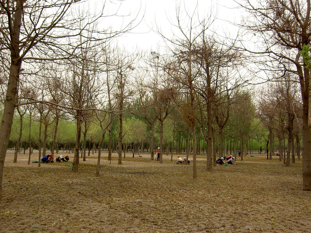 槐新郊野公園