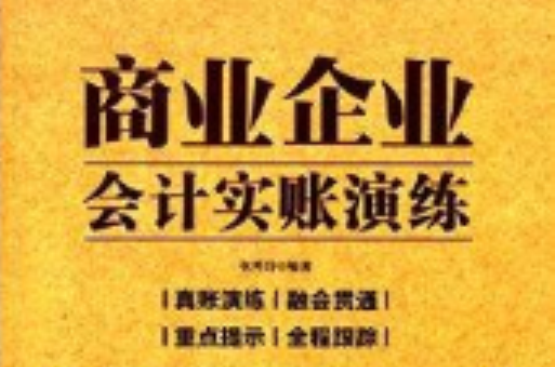 商業企業會計實賬演練