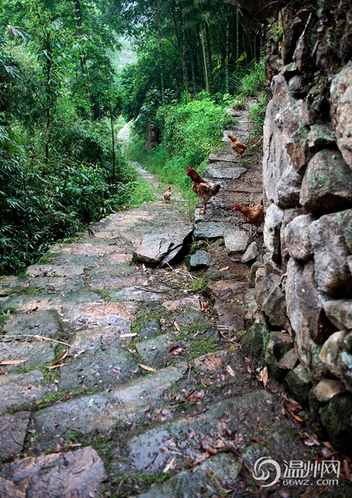 湖嶺古道