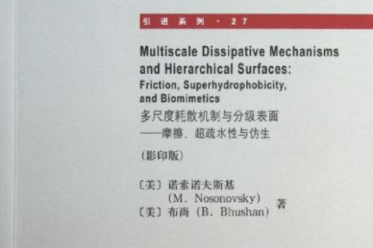 多尺度耗散機制與分級表面——摩擦、超疏水性與仿生（影印版）