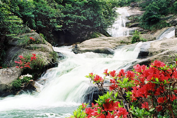 懷玉山風景