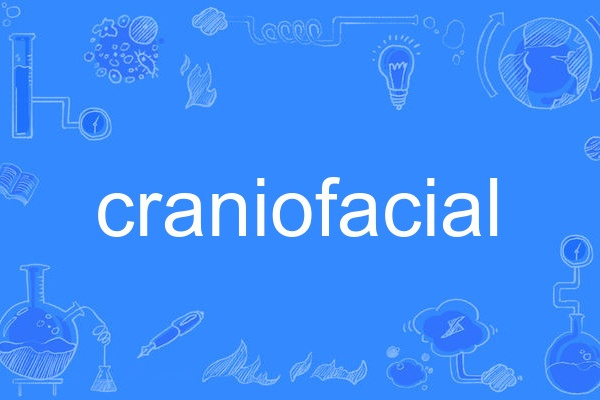 craniofacial