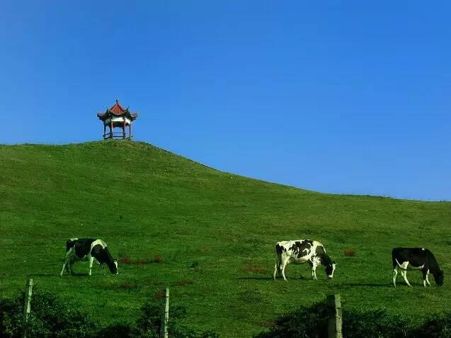 湖南南山國家公園