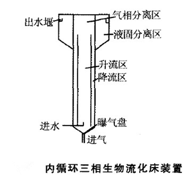 三相流化床