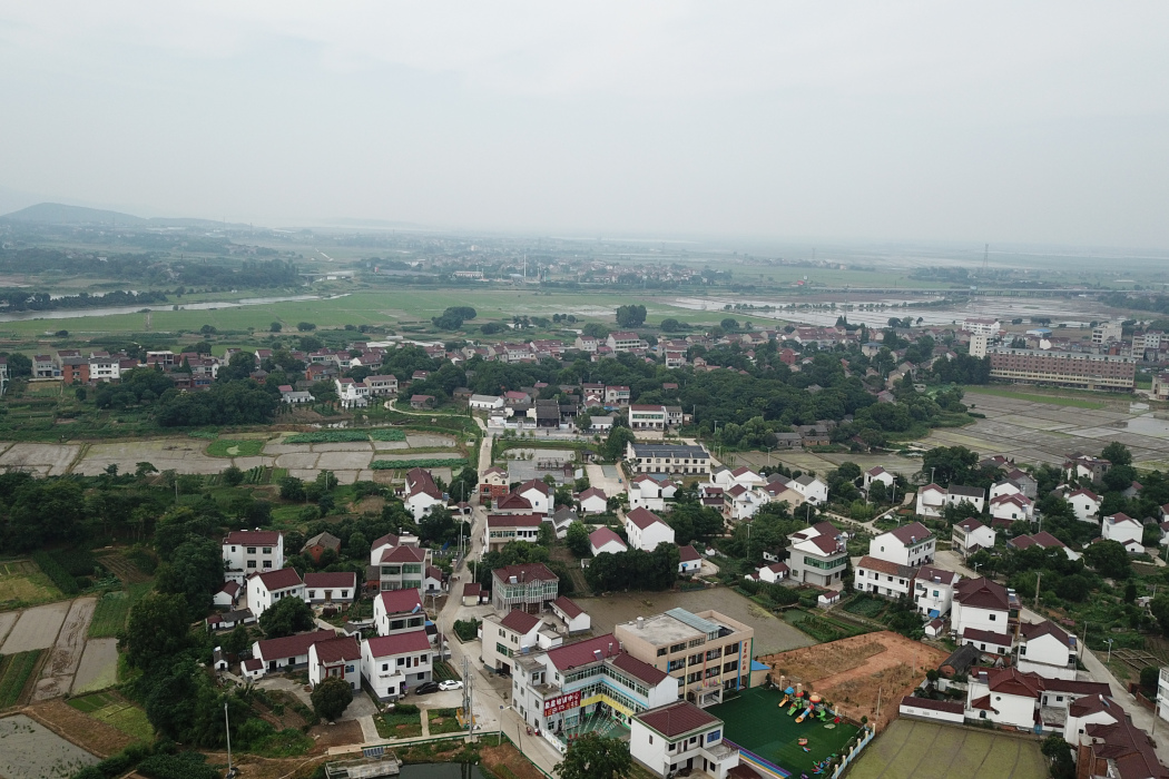 水圩村(安徽樅陽縣陳瑤湖鎮下轄村)