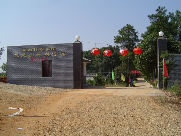 龍虎山森林公園