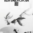 他的陸太太很甜(九月長歌創作的網路小說)