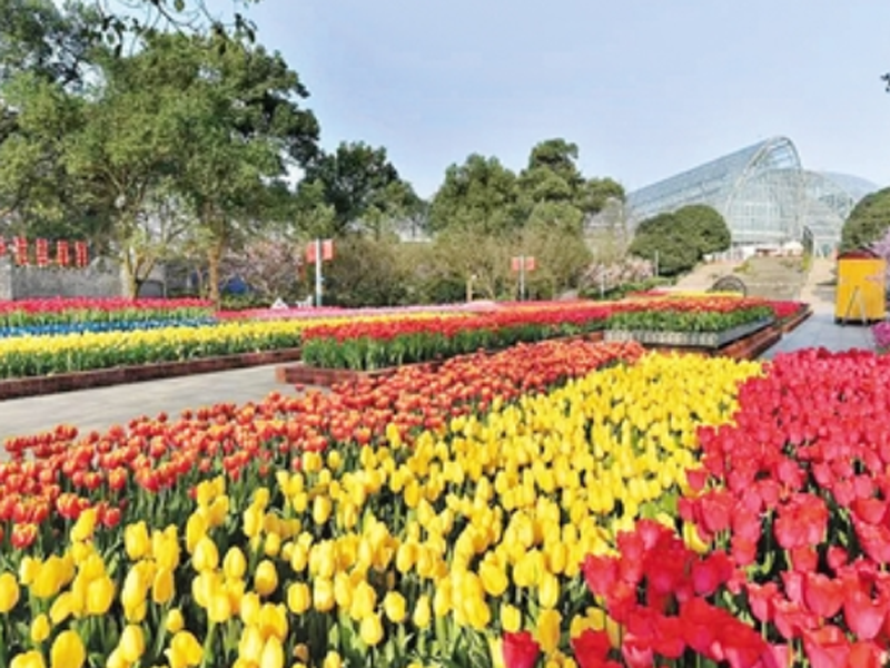 重慶南山植物園