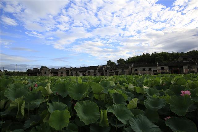 流華灣村