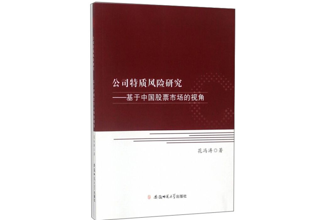 公司特質風險研究：基於中國股票市場的視角