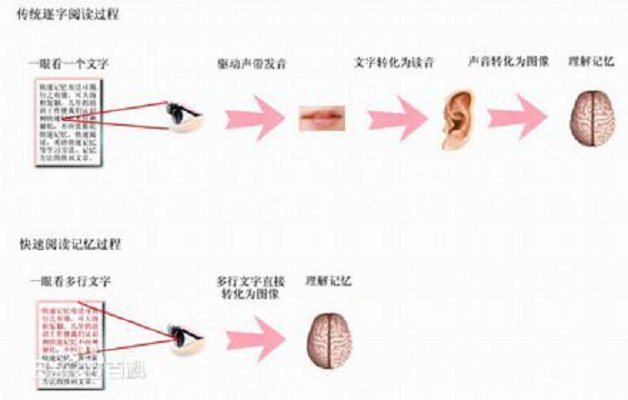 快速閱讀(閱讀或學習方式)