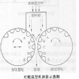 冷壓球團原理