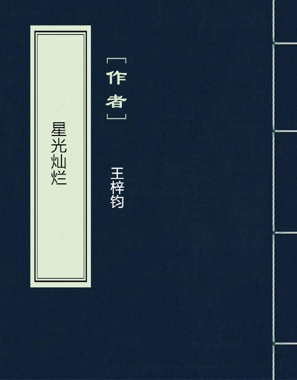 星光燦爛(網路小說)