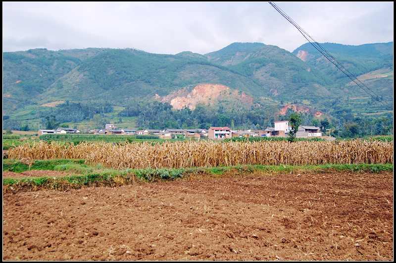 大營化城村