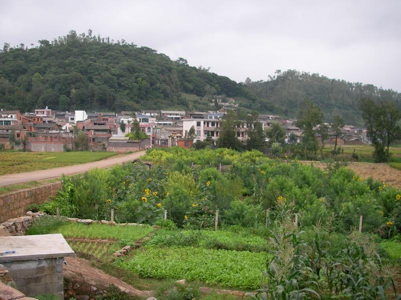 路口村(雲南省紅河州瀘西縣午街鋪鎮下轄村)