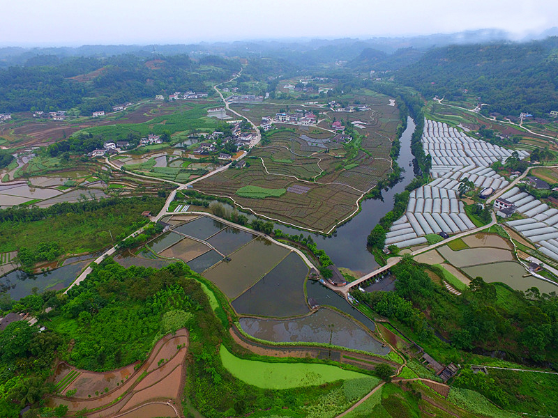 岷東鄉