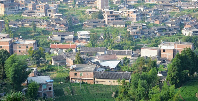 東坑村(安溪縣祥華鄉東坑村（鐵觀音/山藥名村）)