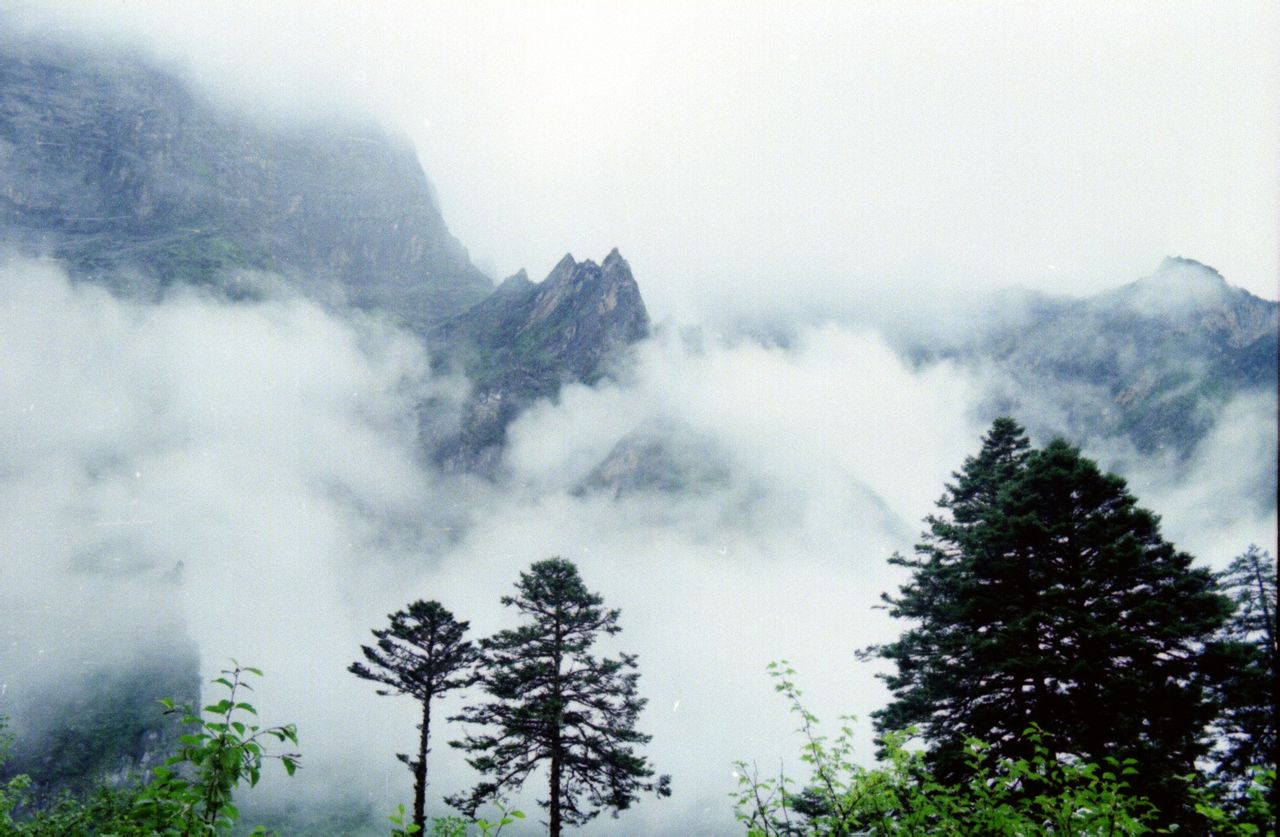 四川雪寶頂國家級自然保護區