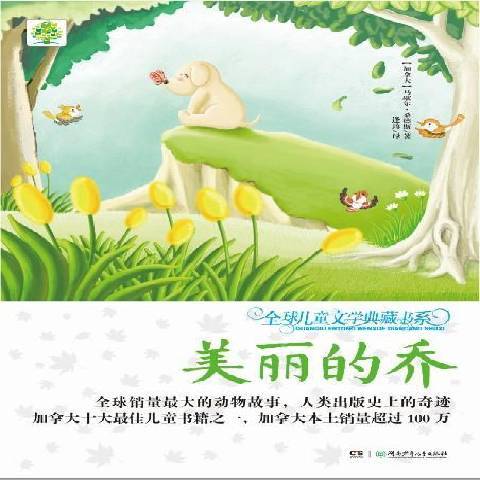 美麗的喬(2014年湖南少年兒童出版社出版的圖書)