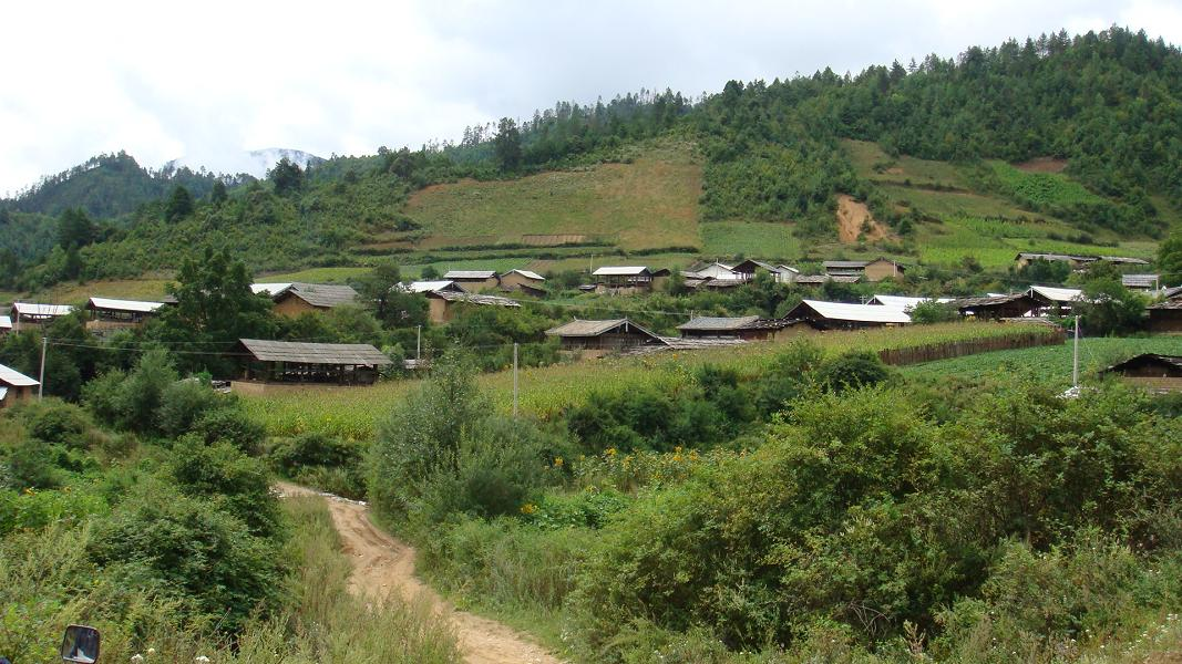 下核桃樹村