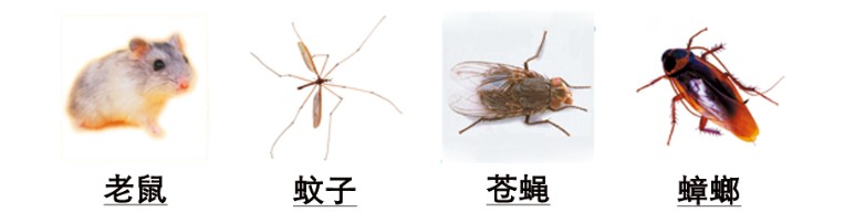 北京雲振克技術開發有限公司