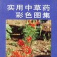 實用中草藥彩色圖集。第6冊