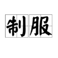 制服(漢語詞語)