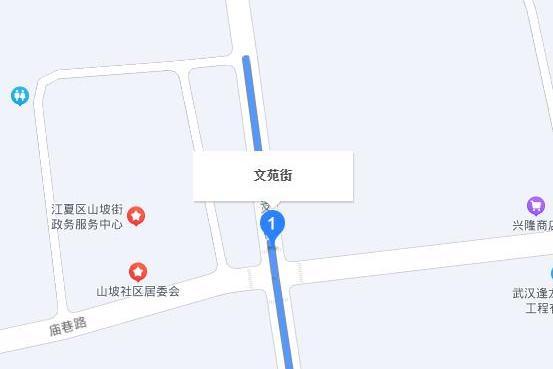 文苑街(武漢市光谷光電子信息產業園內的街道)