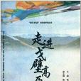 我行我動實踐教學叢書：走進戈壁高原(走進戈壁高原)