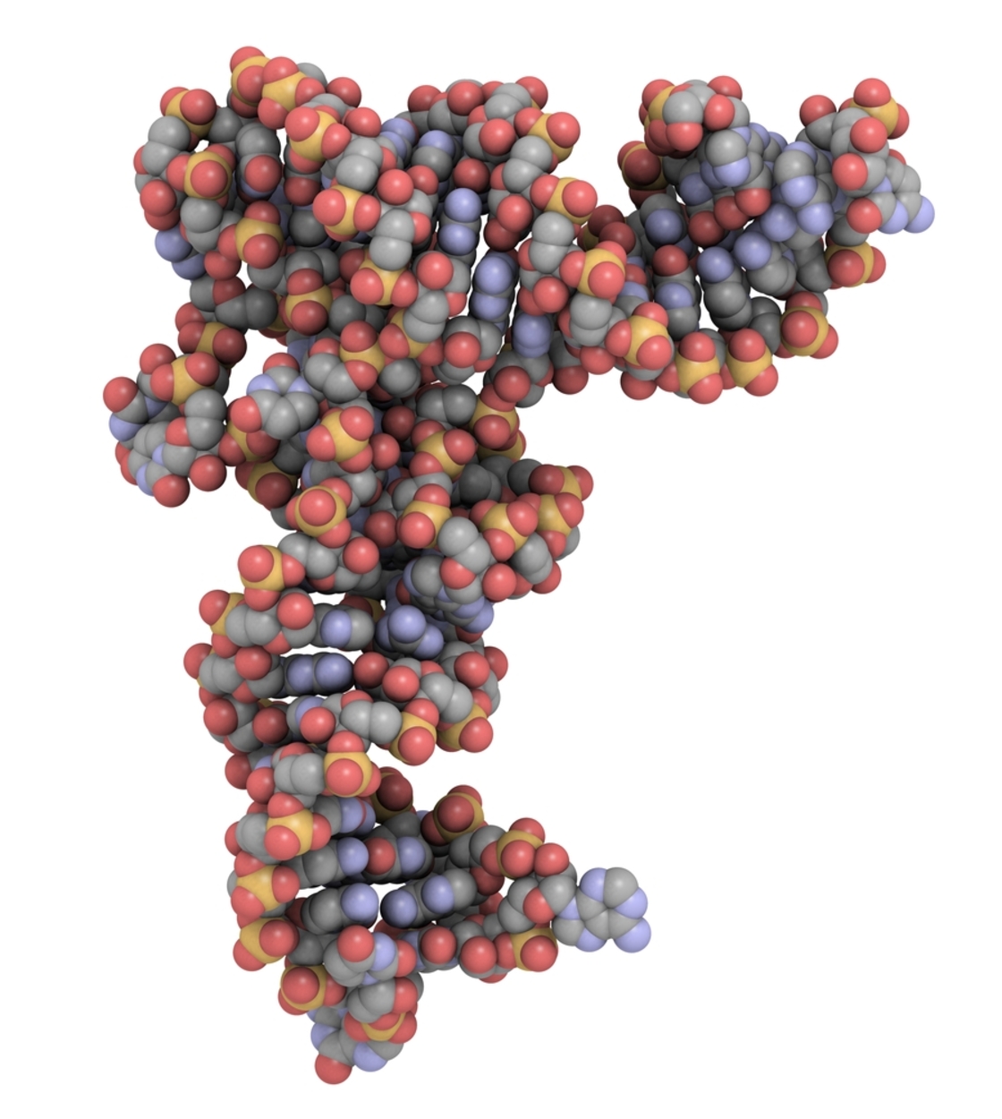 轉運RNA