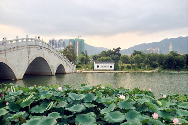 清遠濕地公園