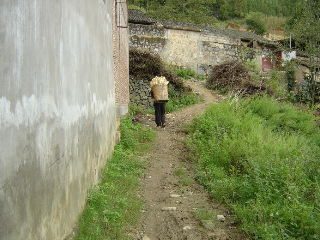 梨花山自然村道路