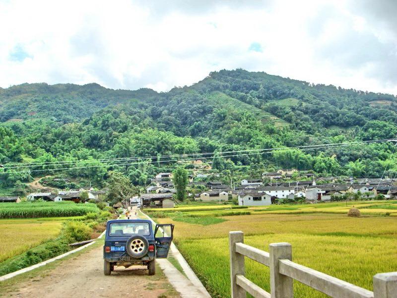 羅崗杏塘村