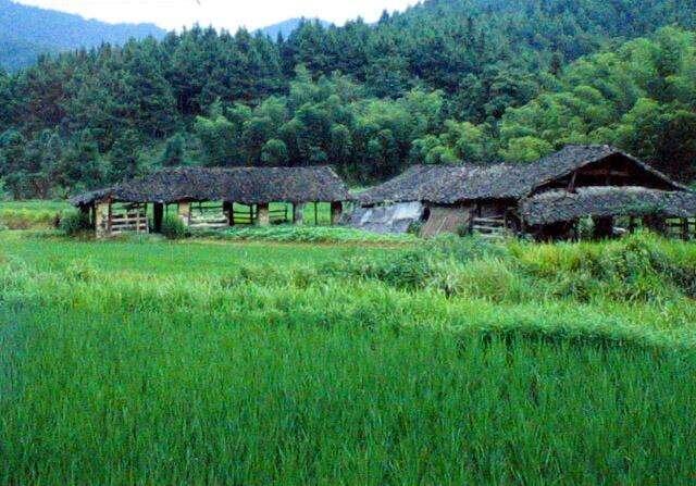 湖田村(浙江省紹興市諸暨市陳宅鎮下轄村)