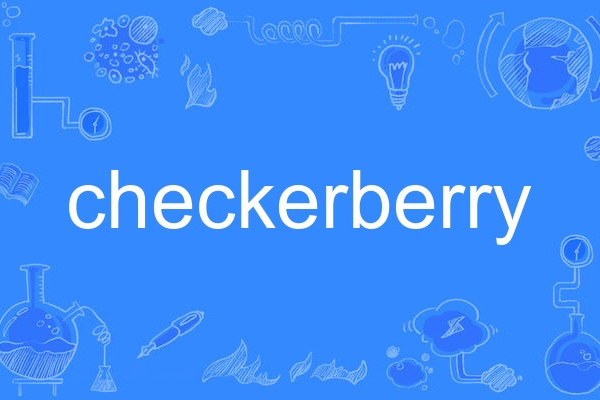 checkerberry