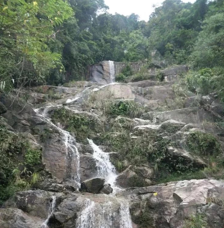 海南黎母山國家森林公園