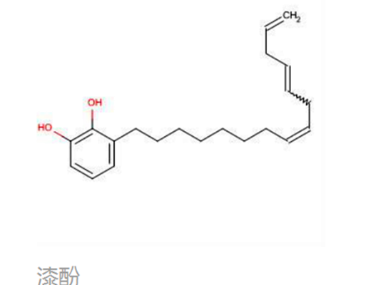 漆酚