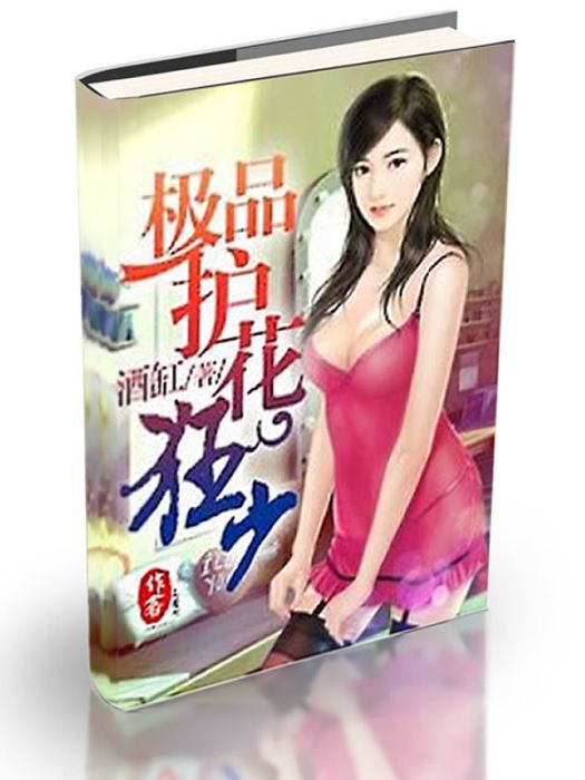 極品護花狂少(酒缸創作的網路小說)