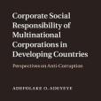 Corporate Social Responsibility of Multinational Corporations in Developing Countries