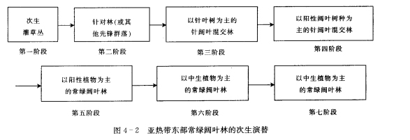 演替系列