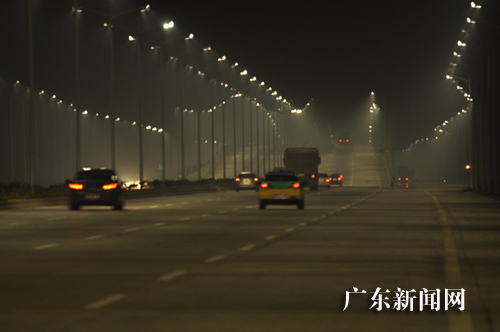 美麗迷人的東海島疏港公路夜景