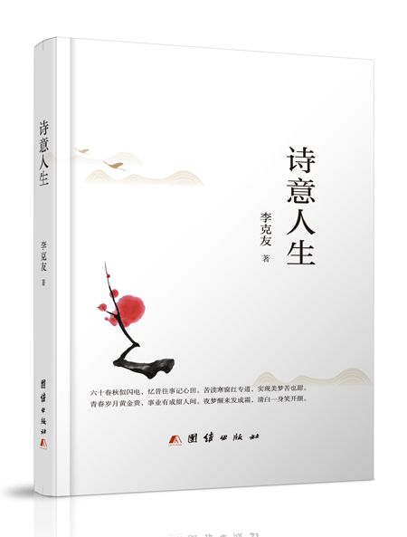 詩意人生(2020年團結出版社出版的圖書)