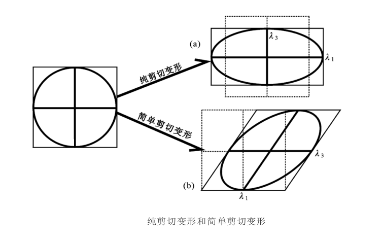 對稱伸展作用