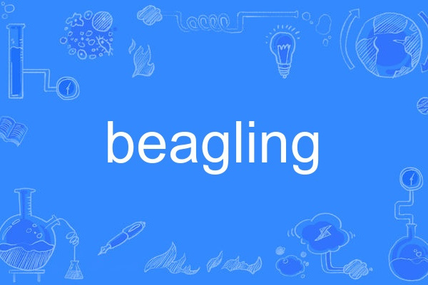 beagling