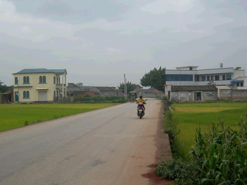 雲南省紅河州蒙自縣文瀾鎮碧雲村進村道路