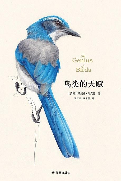 鳥類的天賦