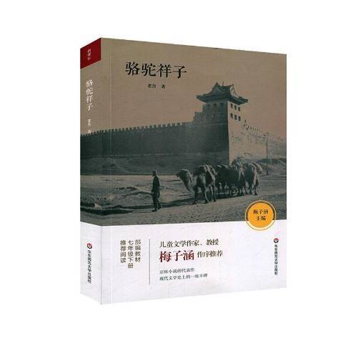 駱駝祥子(2020年華東師範大學出版社出版的圖書)