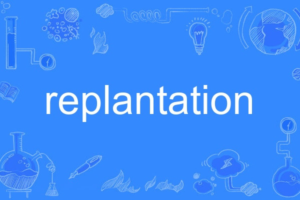 replantation